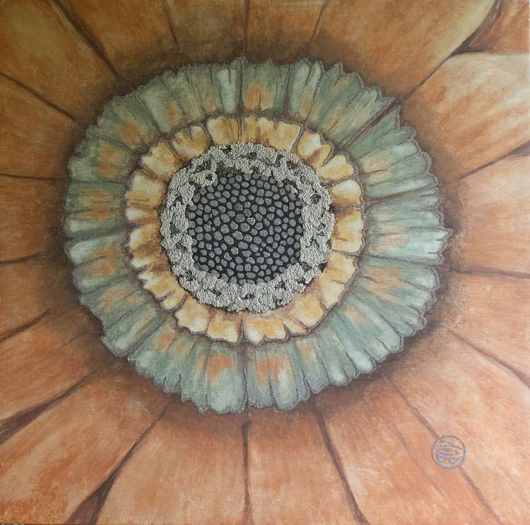 semillas en flor